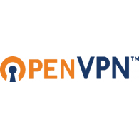 Resultado de imagem para openvpn logo